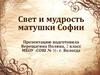 Свет и мудрость матушки Софии