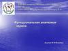 Функциональная анатомия черепа человека