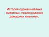 История одомашнивания животных, происхождение домашних животных
