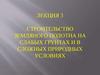 Лекция 3. Строительство земляного полотна на слабых грунтах и в сложных природных условиях