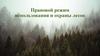 Правовой режим использования и охраны лесов
