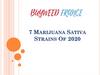 Marijuana Sativa Strains. Of 2020