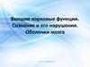 Высшие корковые функции мозга. Сознание и его нарушения. Оболочки мозга