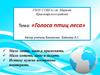Голоса птиц леса