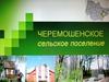 Поселение Черемошёнское