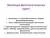 Эволюция филогенетических групп