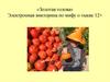 Золотая голова. Электронная викторина по мифу о тыкве