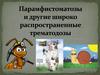 Парамфистоматозы и другие широко распространенного трематодозы