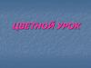 Цветной урок