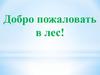 Добро пожаловать в лес!