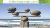 In Harmony with the world