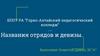 Названия отрядов и девизы