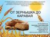 От зернышка до каравая