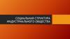 Социальная структура индустриального общества
