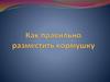 Как правильно разместить кормушку для птиц