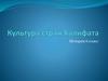 Культура стран Халифата. История 6 класс