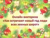 Онлайн викторина «Как встречают новый год люди всех земных широт»