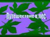 Фотоальбом "Путешествие в лес"