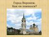 Город Воронеж