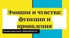 Эмоции и чувства: функции и проявления