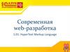 Современная web-разработка