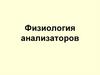 Физиология анализаторов