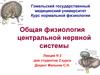 Общая физиология центральной нервной системы