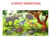В мире животных