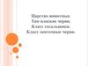 Царство животные. Тип плоские черви. Класс сосальщики. Класс ленточные черви