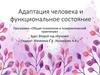 Адаптация человека и функциональное состояние
