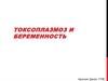 Токсоплазмоз и беременность