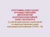 Программа новогодних и рождественских мероприятий в Колпинском районе Санкт-Петербурга