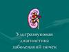 Ультразвуковая диагностика заболеваний почек