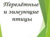 Перелётные и зимующие птицы