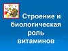 Строение и биологическая роль витаминов