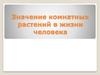 Значение комнатных растений в жизни человека