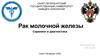 Рак молочной железы. Скрининг и диагностика