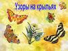 Узоры на крыльях бабочек. 1 класс