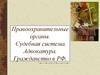Правоохранительные органы. Судебная система. Адвокатура. Гражданство в РФ