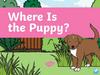 Where is the puppy