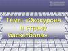 Экскурсия в страну баскетбола. 7 класс