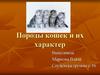 Породы кошек и их характер
