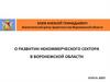 О развитии некоммерческого сектора в Воронежской области