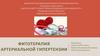 Фитотерапия артериальной гипертензии