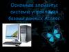 Основные элементы системы управления базами данных Access