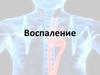 Воспаление. Классификация воспаления. Значение воспаления для организма