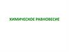 Химическое равновесие
