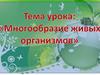 Многообразие живых организмов