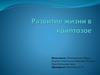 Развитие жизни в криптозое
