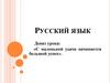 Русский язык. Имена существительные